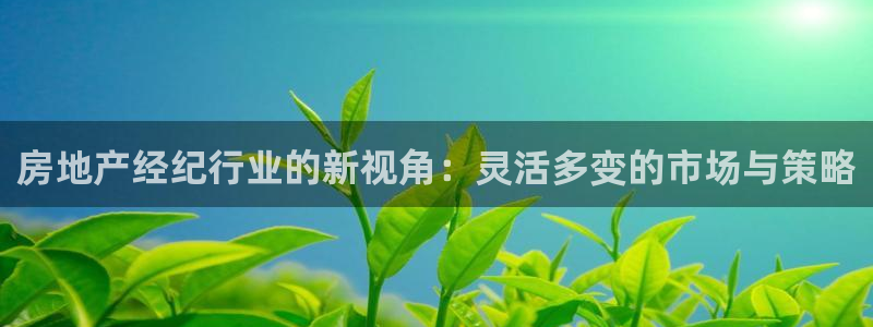 2022新宝骏rs 5：房地产经纪行业的新视角：灵活多变的市