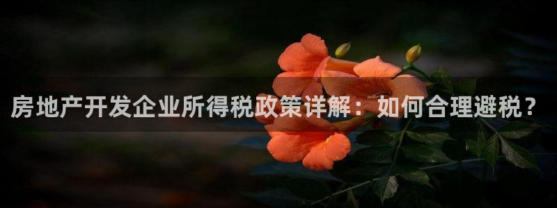 新宝5娱乐主管：房地产开发企业所得税政策详解：如何合理避税？