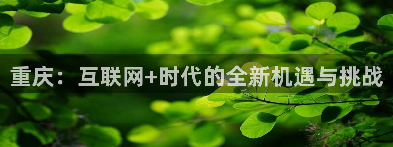 新宝5娱乐都：重庆：互联网+时代的全新机遇与挑战