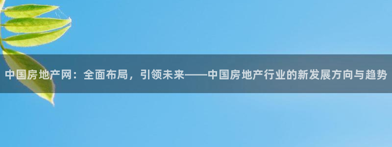 新宝5如何注册登录：中国房地产网：全面布局，引领未来——中国