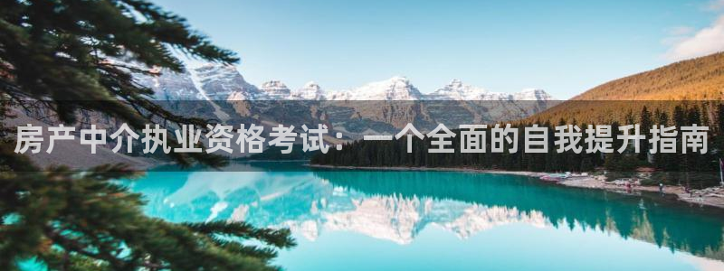 新宝m2O5O5O：房产中介执业资格考试：一个全面的自我提升