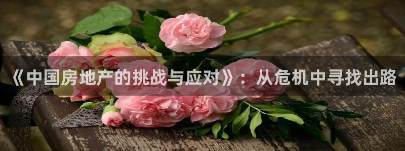 新宝5招商222111：《中国房地产的挑战与应对》：从危机中