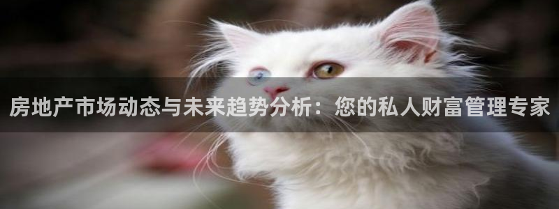 新宝5测速登录：房地产市场动态与未来趋势分析：您的私人财富管