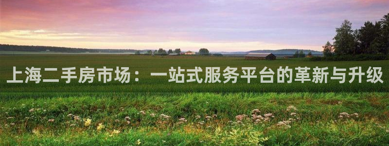 新宝5官方登录入口：上海二手房市场：一站式服务平台的革新与升