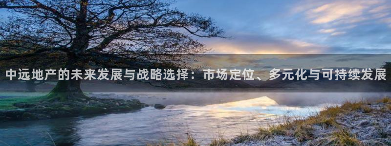 新宝5电脑登录网址：中远地产的未来发展与战略选择：市场定位、
