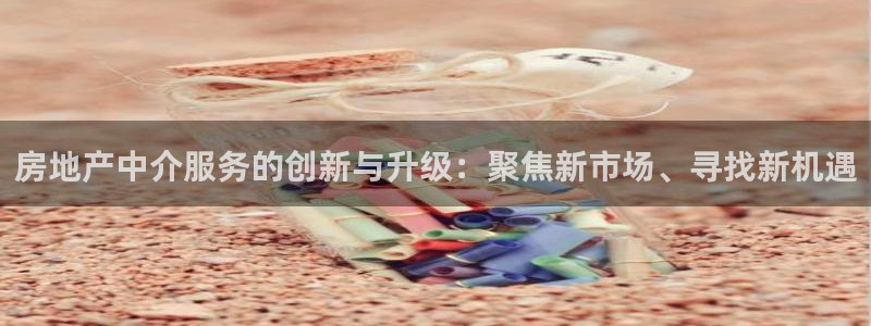 新宝5尤74OOO5：房地产中介服务的创新与升级：聚焦新市场