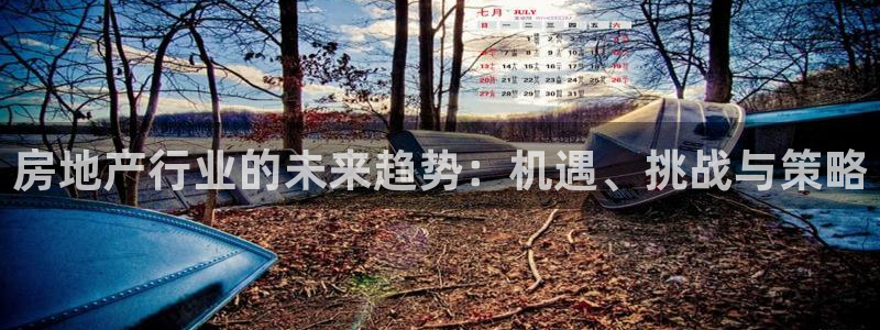 新宝5下载软件：房地产行业的未来趋势：机遇、挑战与策略