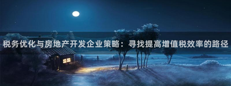 新宝5娱乐手机登录：税务优化与房地产开发企业策略：寻找提高增
