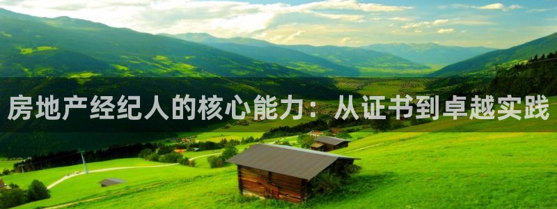 新宝5平台登录：房地产经纪人的核心能力：从证书到卓越实践