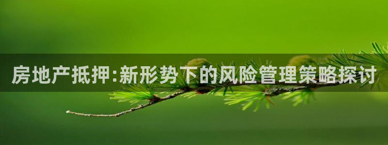 新宝5测速平台登录：房地产抵押:新形势下的风险管理策略探讨