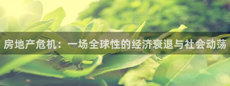 新宝5代理注册：房地产危机：一场全球性的经济衰退与社会动荡