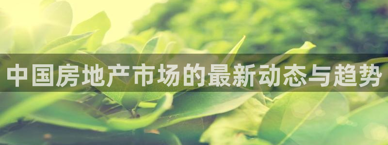 新宝5官方：中国房地产市场的最新动态与趋势