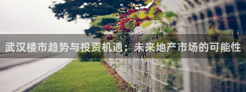 新宝3得74OO5：武汉楼市趋势与投资机遇：未来地产市场的可