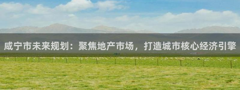 新宝5app：咸宁市未来规划：聚焦地产市场，打造城市核心经济