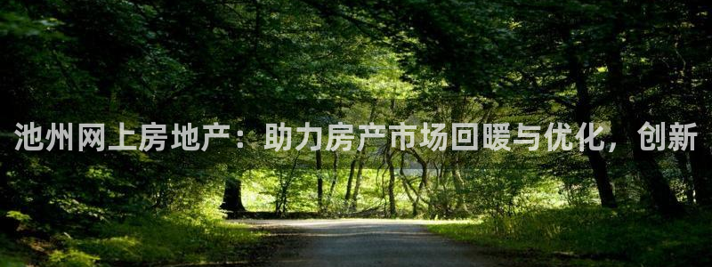 新宝5电脑登录网址：池州网上房地产：助力房产市场回暖与优化，