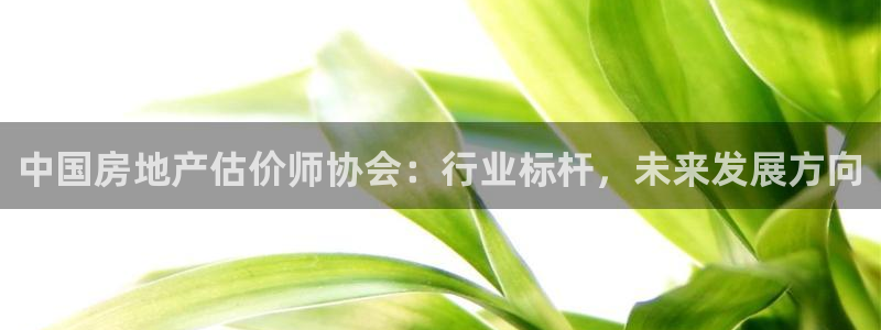 新宝h2O5O5O：中国房地产估价师协会：行业标杆，未来发展