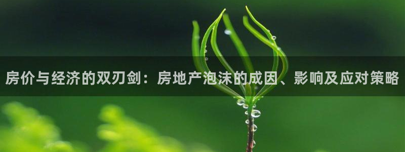 新宝5官网：房价与经济的双刃剑：房地产泡沫的成因、影响及应对
