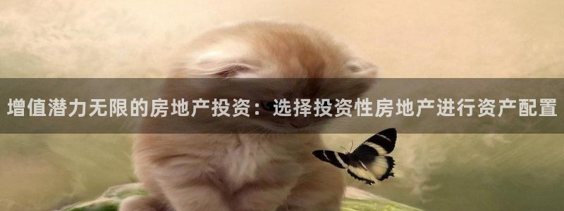 新宝5飞355051：增值潜力无限的房地产投资：选择投资性房