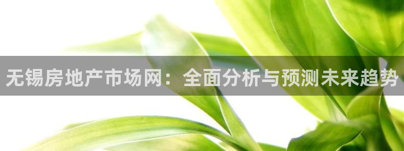 i新宝5：无锡房地产市场网：全面分析与预测未来趋势