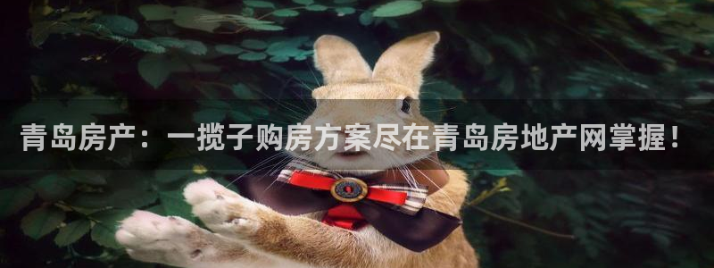新宝5登录入口网址：青岛房产：一揽子购房方案尽在青岛房地产网