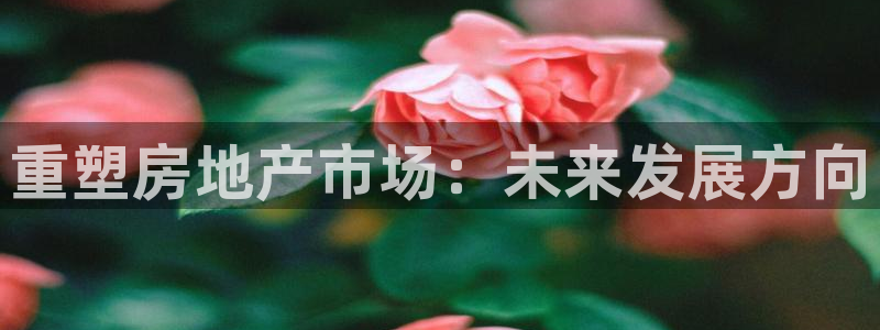 新宝5公司：重塑房地产市场：未来发展方向