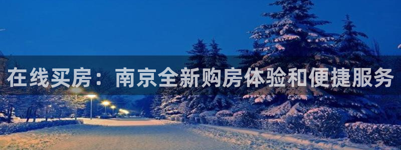 新宝5策略：在线买房：南京全新购房体验和便捷服务