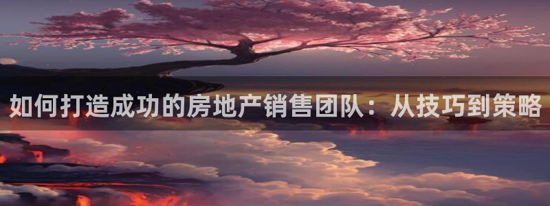 新宝速5：如何打造成功的房地产销售团队：从技巧到策略