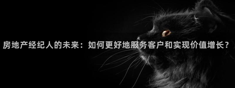 新宝5手机版登录：房地产经纪人的未来：如何更好地服务客户和实