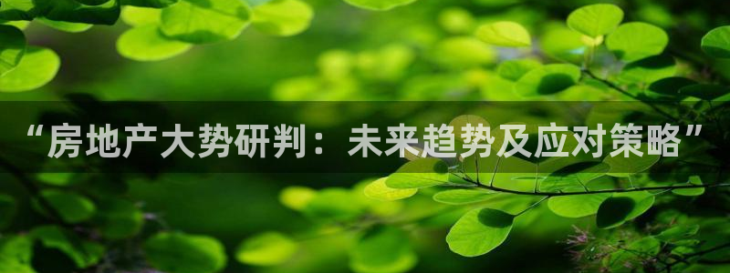 新宝5官网：“房地产大势研判：未来趋势及应对策略”